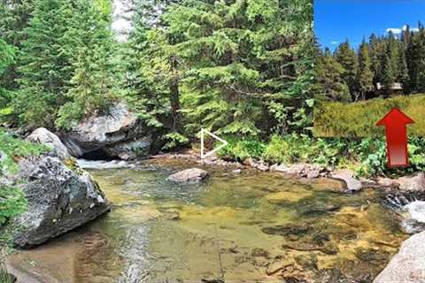 LIVE HERE & GET PAID - You can live beside THIS STREAM in a cabin provided by the Forest..