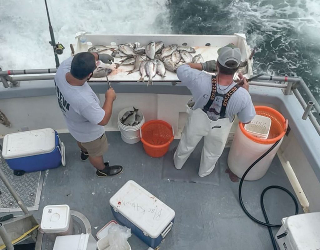 Fish Stories from Long Island Sound