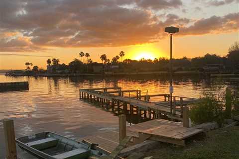 Lake Conroe Fishing: All You Need to Know