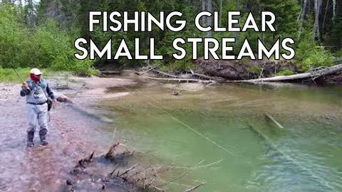 Clear Water Small Stream Fishing