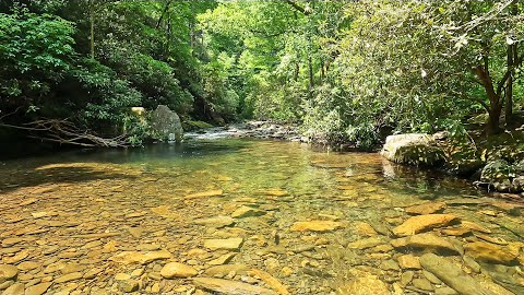 Streams like this make Fly Fishing INCREDIBLY Fun and Addicting!