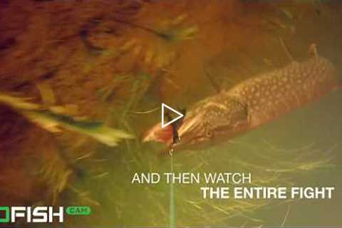 GoFish Cam - The Most Popular Wireless Underwater Fishing Camera