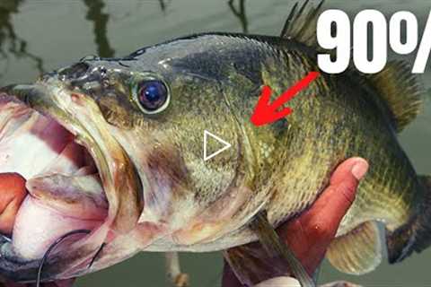 90% of BASS FISHING in 15 Minutes
