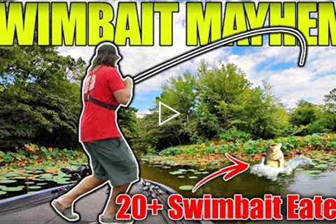 The Most EPIC Day Swimbait Fishing You’ve EVER Seen!! (Non-Stop Catching!)