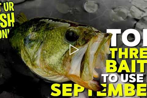 Top 3 Bass Fishing Bait to use in September - Beginner Fishing Tips 2022