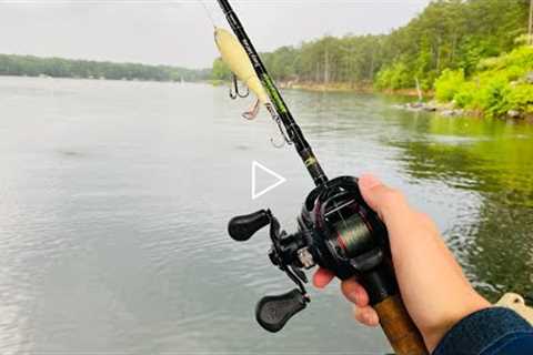 TOPWATER Bass Fishing ACTION on Lake Allatoona!! (Whopper Plopper)