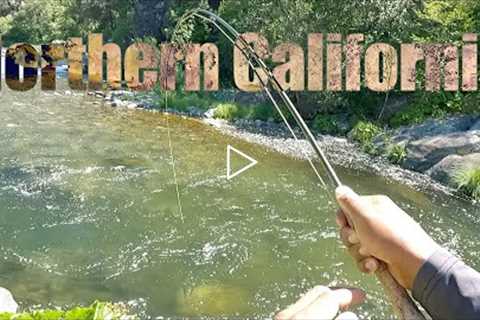 Fly Fishing In Beautiful Northern California - Free Form Fly Fisher