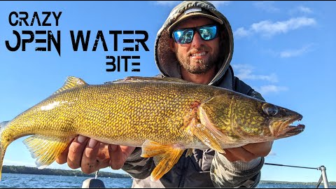 This SECRET LOCATION is LOADED With Walleyes!