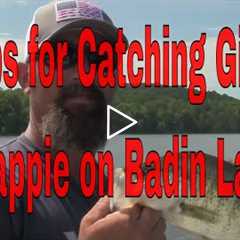 Tips for Catching Giant Crappie on Lake Badin,Catching crappie ,Lake fishing tips for crappie