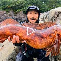 GREATEST CATCH AND COOK OF ALL TIME | Alaska Coastal Foraging, Red Lingcod, and Hot Springs