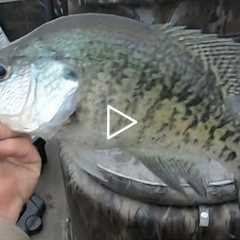Crappie Fishing Lake Darbonne!!! (Livescope * Giant * Crappie)