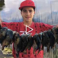 Bass And Bluegill Fishing: Kids Catch Over 50 Fish In A Few Hours