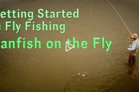 Getting Started in Fly Fishing: Panfish on the Fly