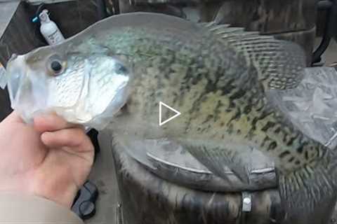 Crappie Fishing Lake Darbonne!!! (Livescope * Giant * Crappie)