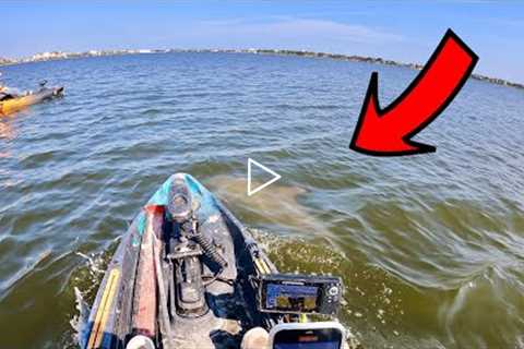 *CAUGHT* on Camera Dolphin goes CRAZY on my Kayak / Dock fishing for Sheepshead (Catch, Clean, Cook)