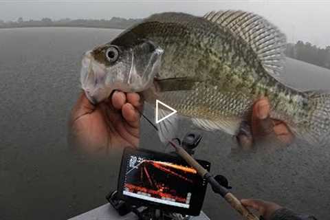 Rain Storm Increased Crazy Crappie Bite❗❗