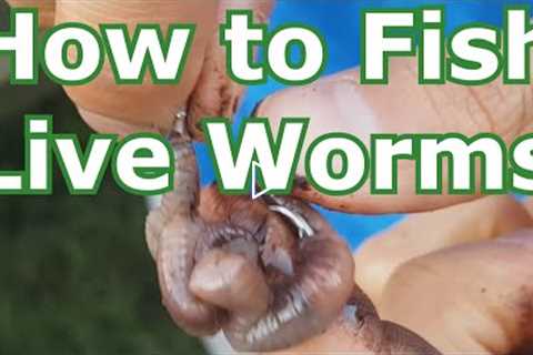 How to Fish with Live Worms: Setup - Hooking, Tips - Lakes, Rivers, Creeks, Ponds