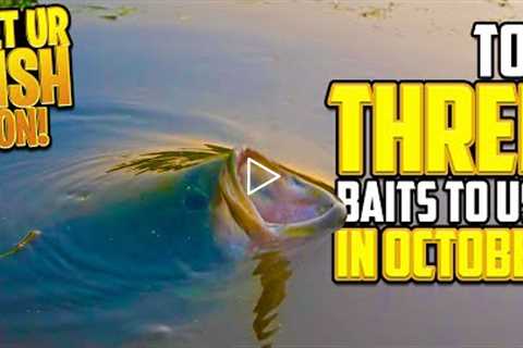 THREE Bass Fishing Baits to use in October - Beginner Fishing Tips