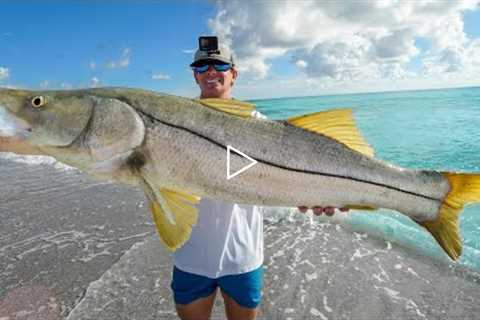 ILLEGAL to Buy or Sell this Fish…Catch Clean Cook (Mullet Run 2022)