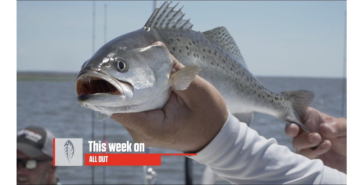 Jetty to Backwater Trout! | Carolina ALL OUT |