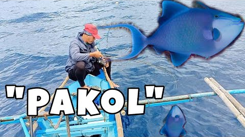Part 2 Catching TriggerFish Subrang Takaw | Pakol Fishing
