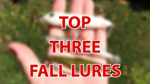 Top 3 Lures For Fall Inshore Saltwater Fishing