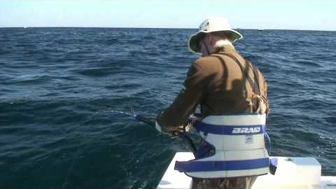 Giant Yellowfin Tuna in Venice w/ Relentless