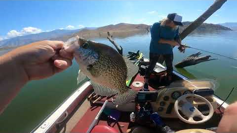 Lake Isabella ... Crappie Fishing
