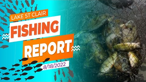 Lake St. Clair Fishing Report 8/18/2022