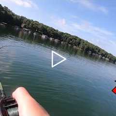 TOPWATER Bass Fishing ACTION on Lake Lanier!!