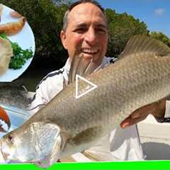 Solo 2 day overnight Day 2- Fishing challenge - Catch and Cook - Mud crab pot stickers - EP.574