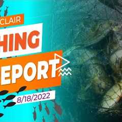 Lake St. Clair Fishing Report 8/18/2022