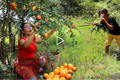 Meet a girl and pick orang fruit in forest- Orang fruit with salt chili for snack eating delicious