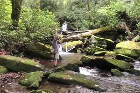 Brook Trout in the Smokies with Trout Zone Anglers