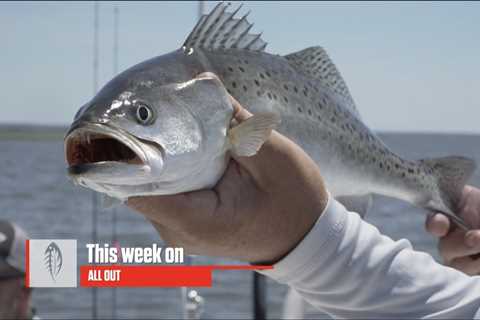 Jetty to Backwater Trout! | Carolina ALL OUT |