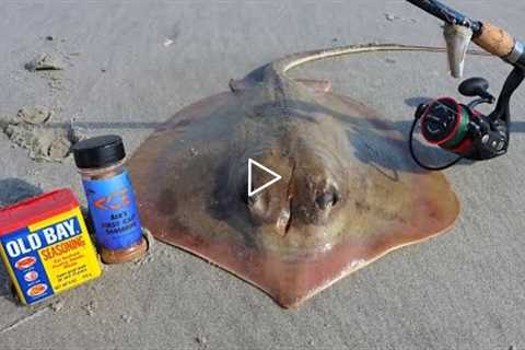 CATCH AND COOK STINGRAY (TASTY OR GROSS?!)