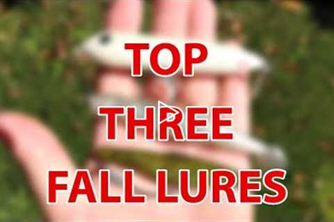 Top 3 Lures For Fall Inshore Saltwater Fishing