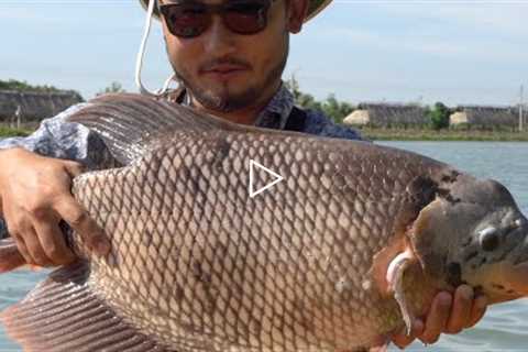 CATCHING UNIQUE THAI FISH | Catch and Cook Thai Style Tilapia