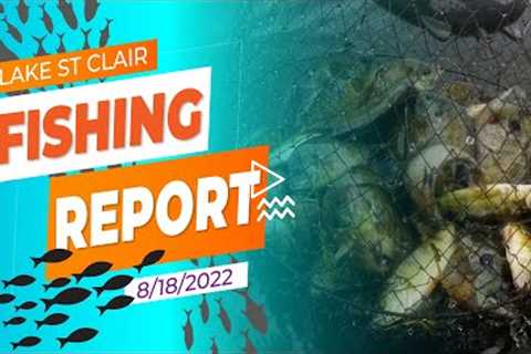 Lake St. Clair Fishing Report 8/18/2022