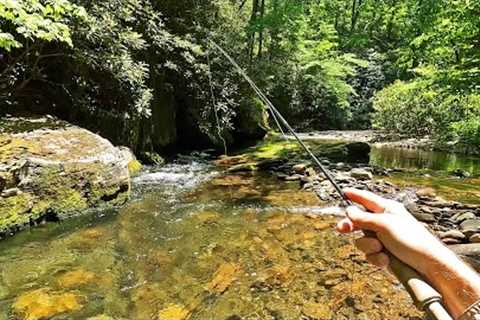 How is it possible that a stream like this and its wild trout receive so little attention!