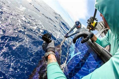 Cracking the Code: Advances in Satellite Tagging Reveal the Secrets of Swordfish