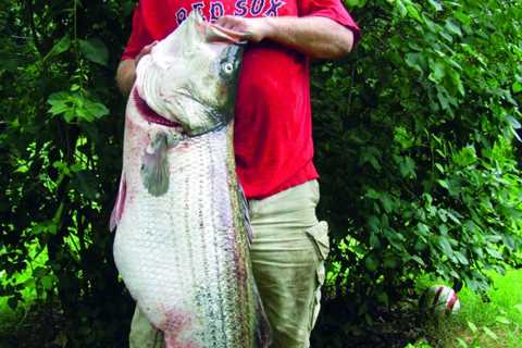 How to Catch Striped Bass