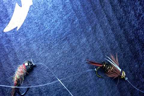 Fly Lines and Tippets: Understanding the Basics