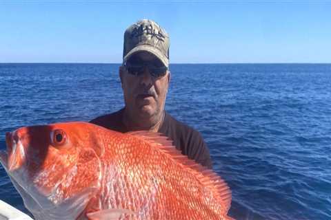 Bottom Fishing Techniques for Deep Sea Fishing in South Padre Island TX