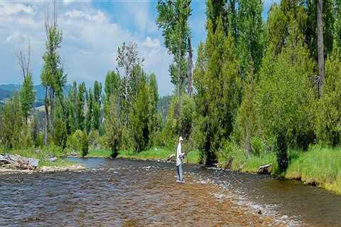 Fly Fishing Outfitters - Montana Trout Outfitters