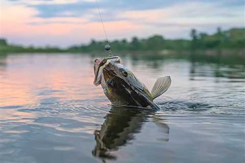 Spring Walleye Fishing: The Complete Guide