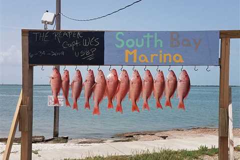 Red Snapper Fishing in Texas