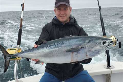 Rhode Island’s Pending State Record False Albacore