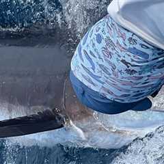 Striped Marlin Are Thick & Blue Marlin Action Continues!