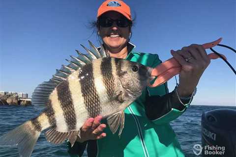 The Best Sheepshead Bait: An Angler’s Guide